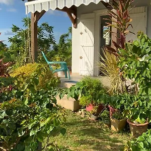  Appartement L'exotik